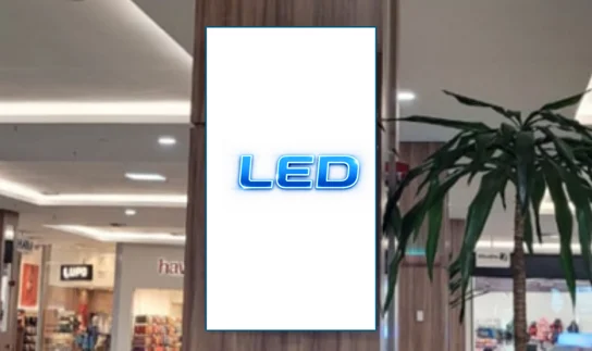 25ledoz