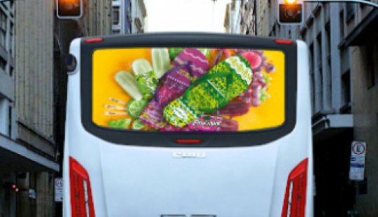 busdoor-tubarao