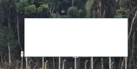 Ponto nº 34ZN